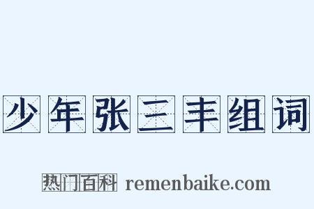 少年张三丰组词是什么意思的图片